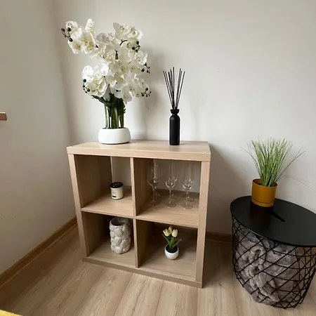 Apartman Trinec ترينتيس